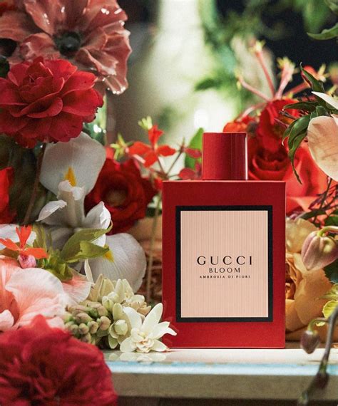 gucci parfüm bloom|Gucci Bloom perfume collection.